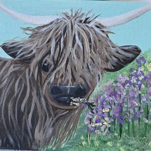 Hand painted Highland cow calf on stretched canvas.